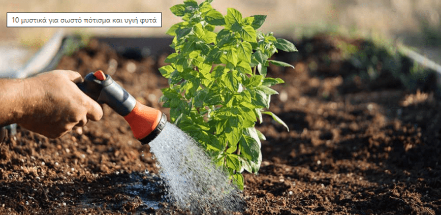 10 secrets for proper watering and healthy plants
