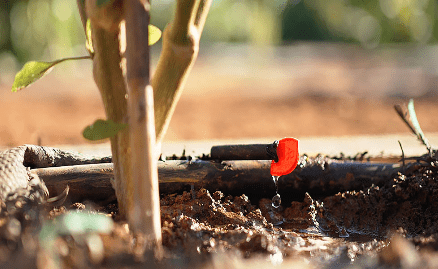What advantages does drip irrigation offer?