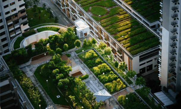 “Green” roof: Why should I influence it?